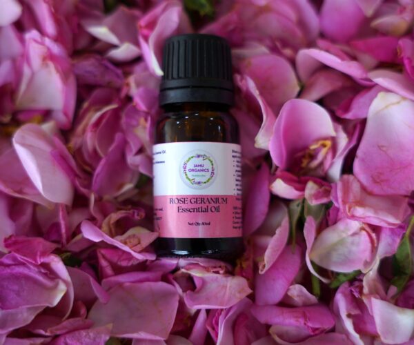 Rose Geranium Ess.Oil